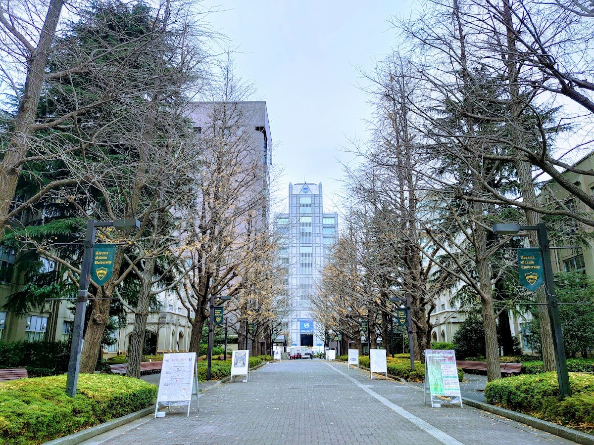 Aoyama Gakuin University photo 3
