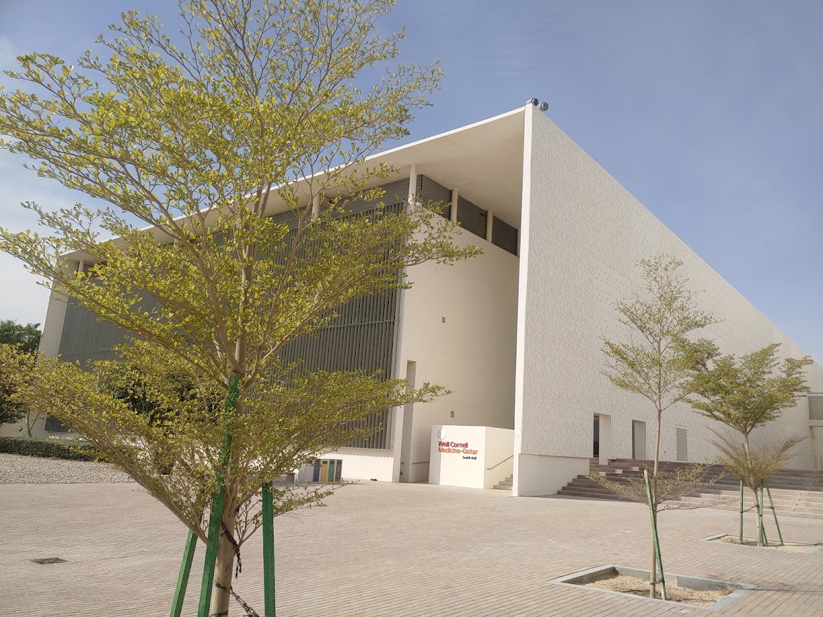 Weill Cornell Medicine-Qatar photo 8