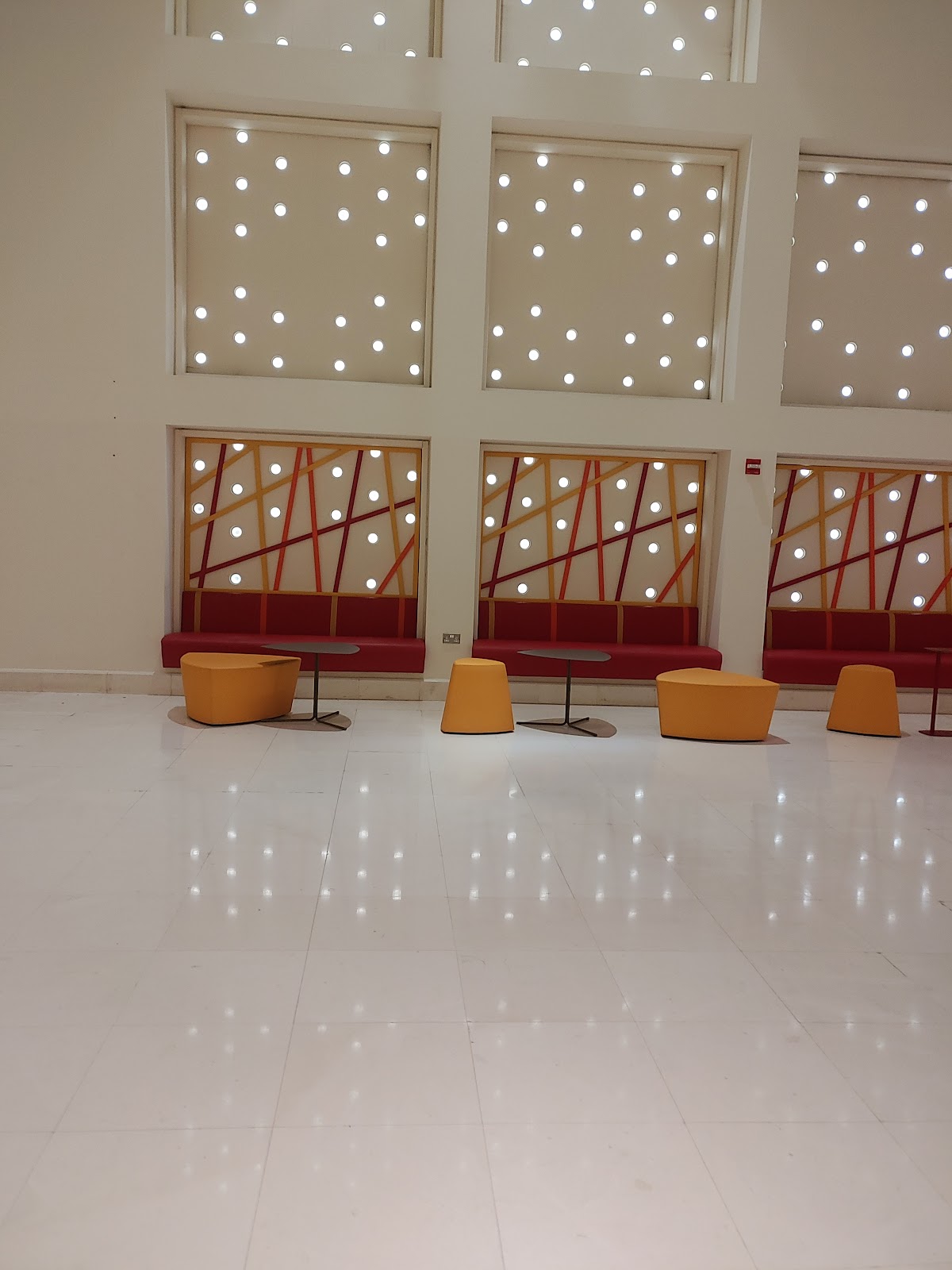 Weill Cornell Medicine-Qatar photo 9