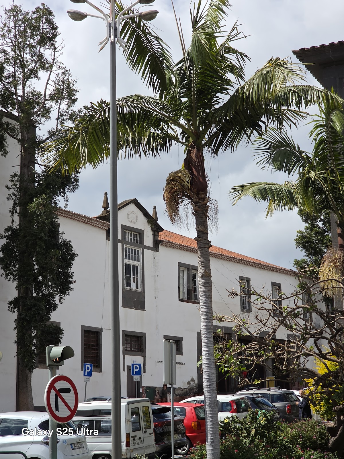 University of Madeira photo 9