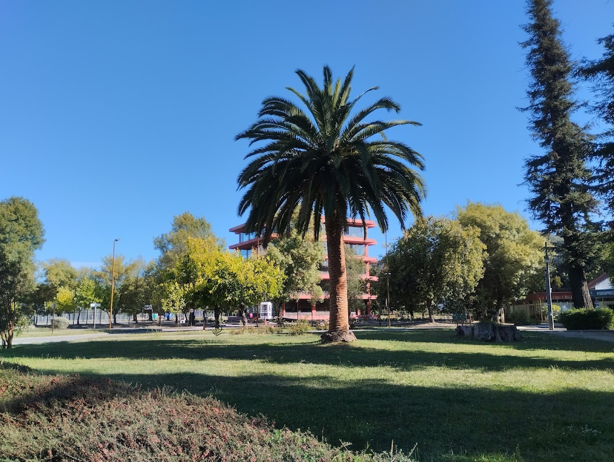 University of the Bío-Bío photo 3