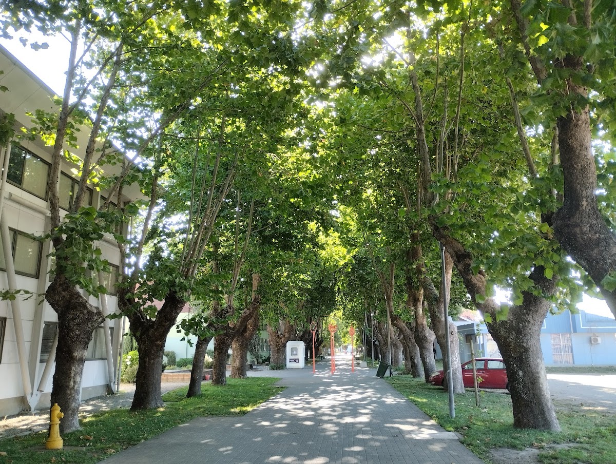 University of the Bío-Bío photo 5