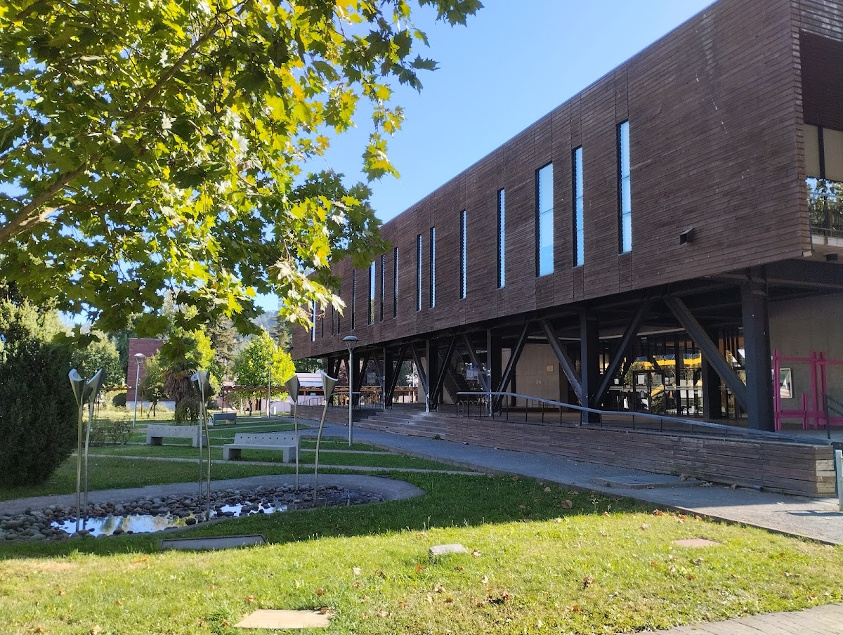 University of the Bío-Bío photo 7