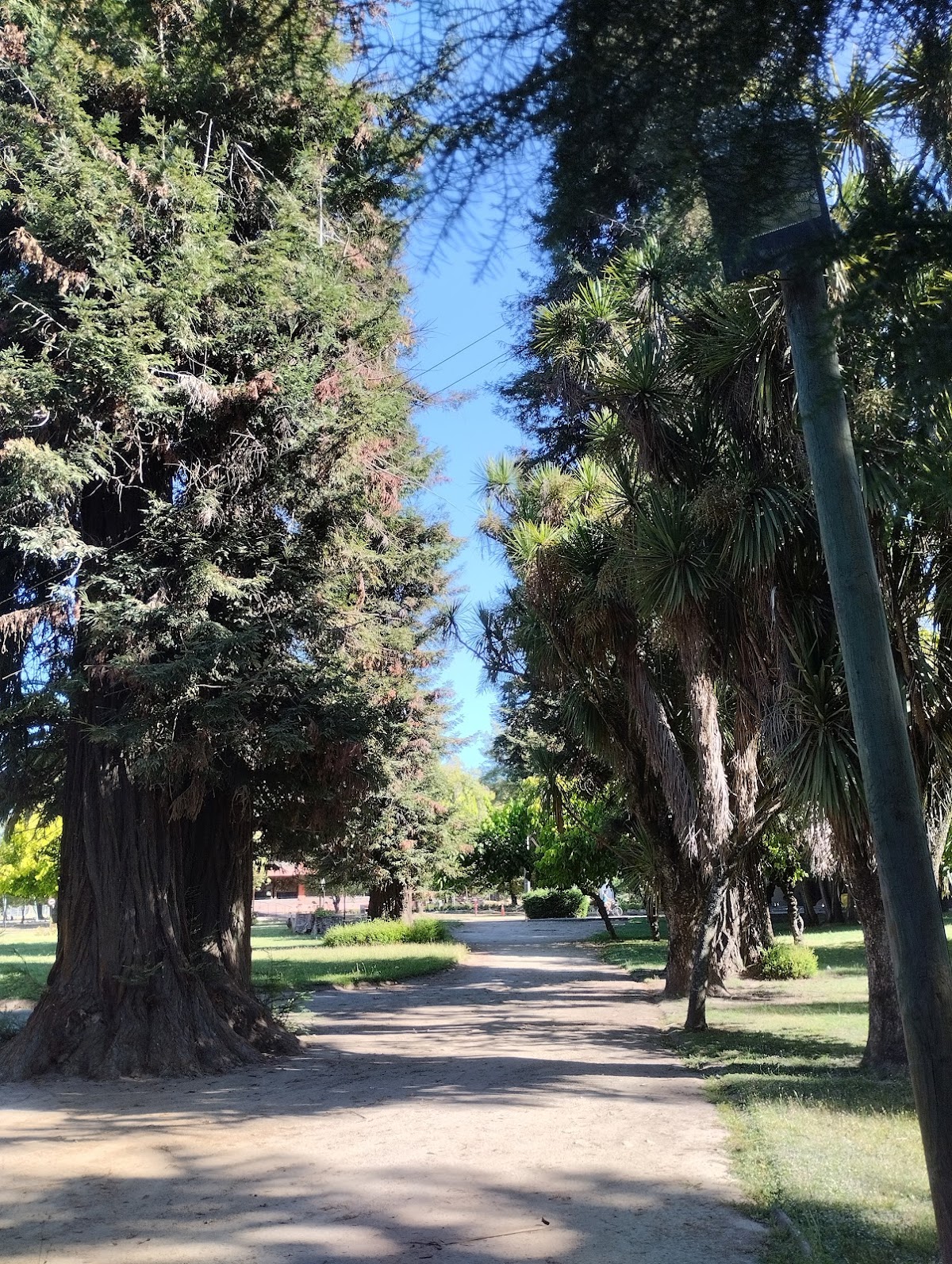University of the Bío-Bío photo 8