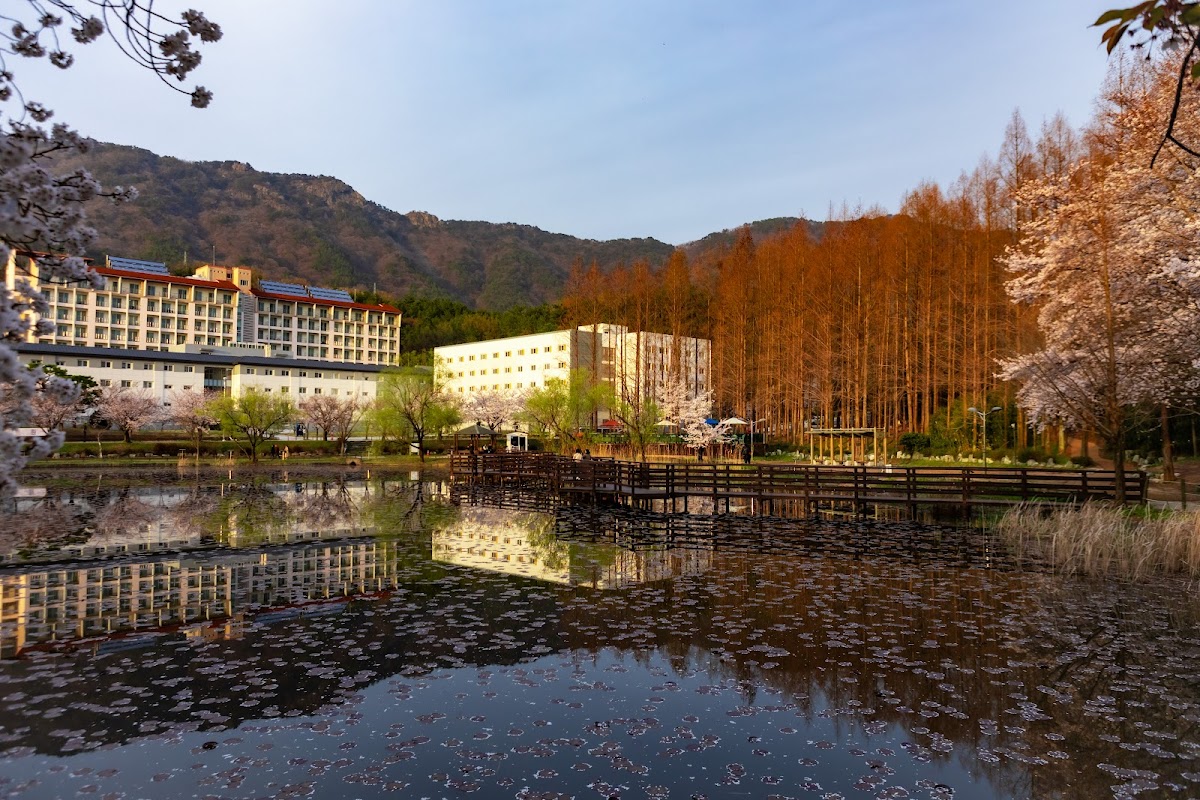 Changwon National University photo 1