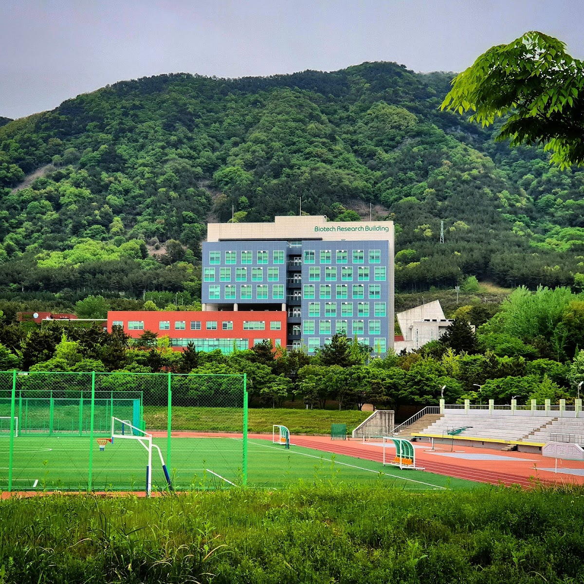 Changwon National University photo 8