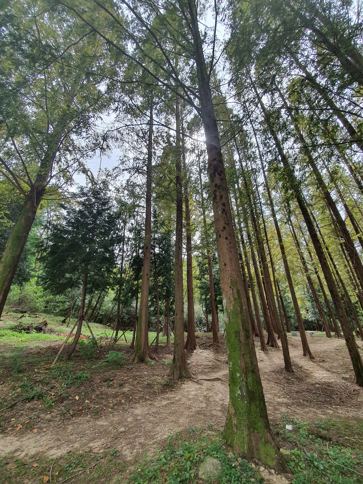 Changwon National University photo 9