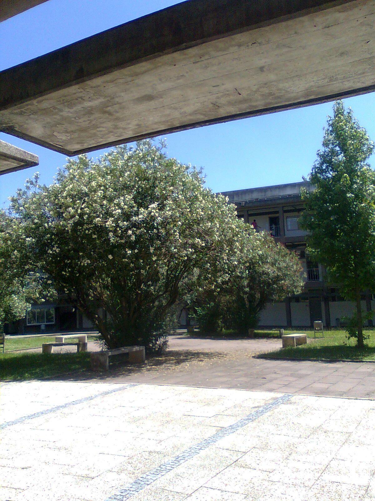 Instituto Superior de Engenharia de Lisboa photo 9