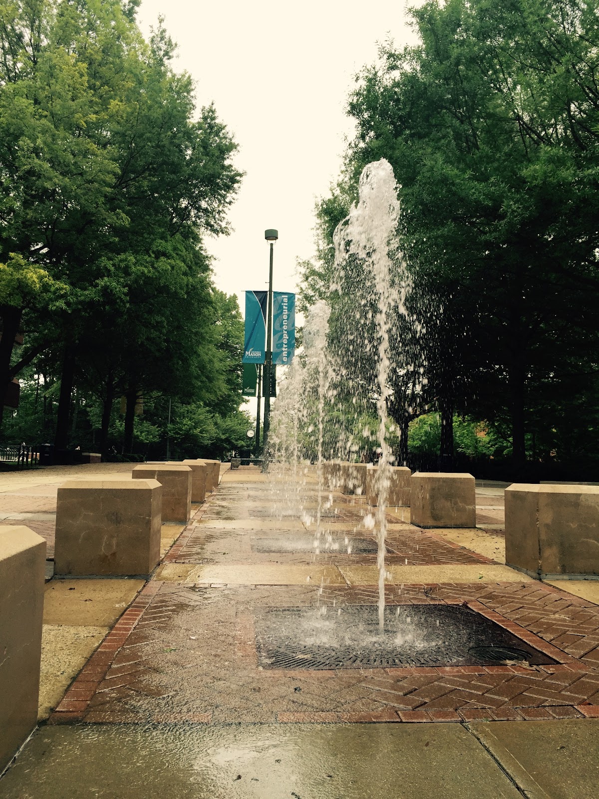 George Mason photo 6
