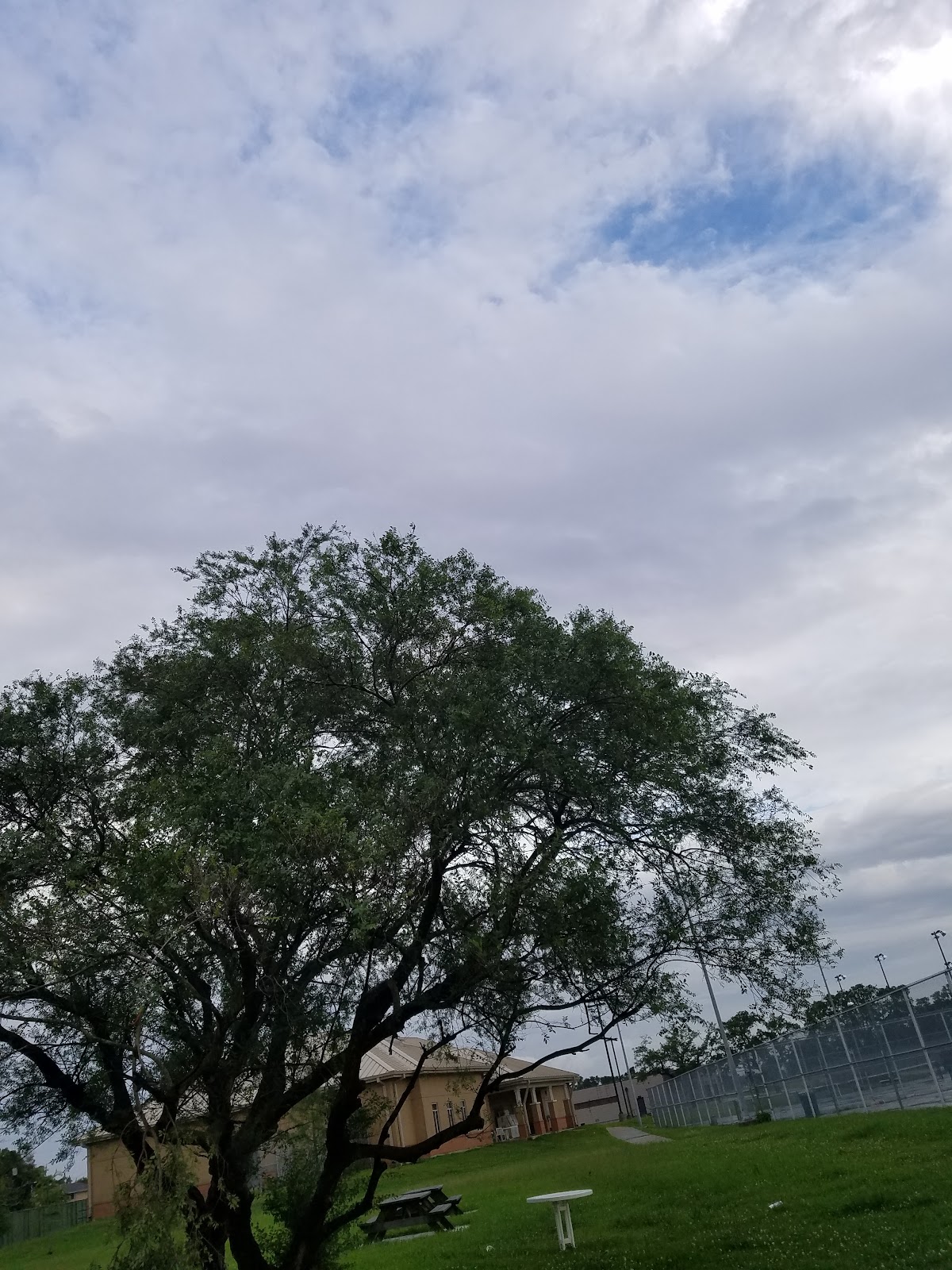 Southern University at New Orleans photo 5