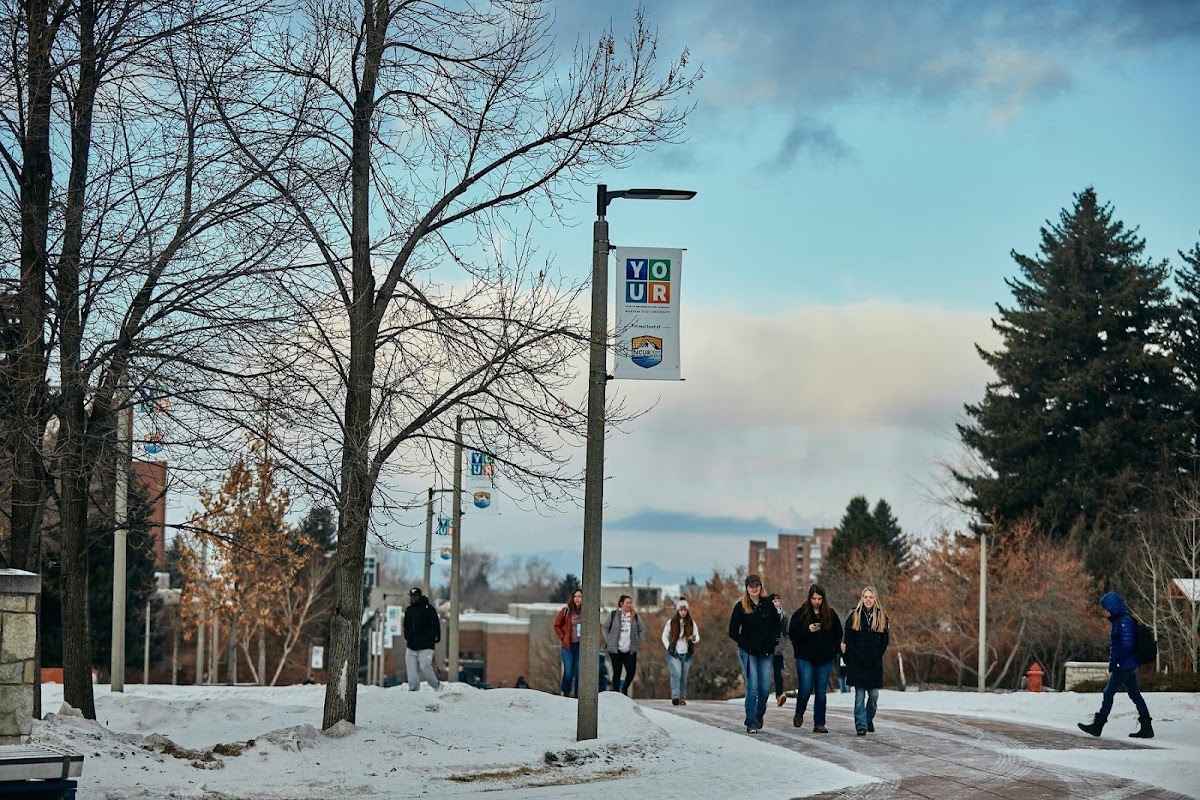 Montana State photo 2