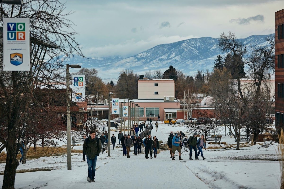 Montana State photo 4