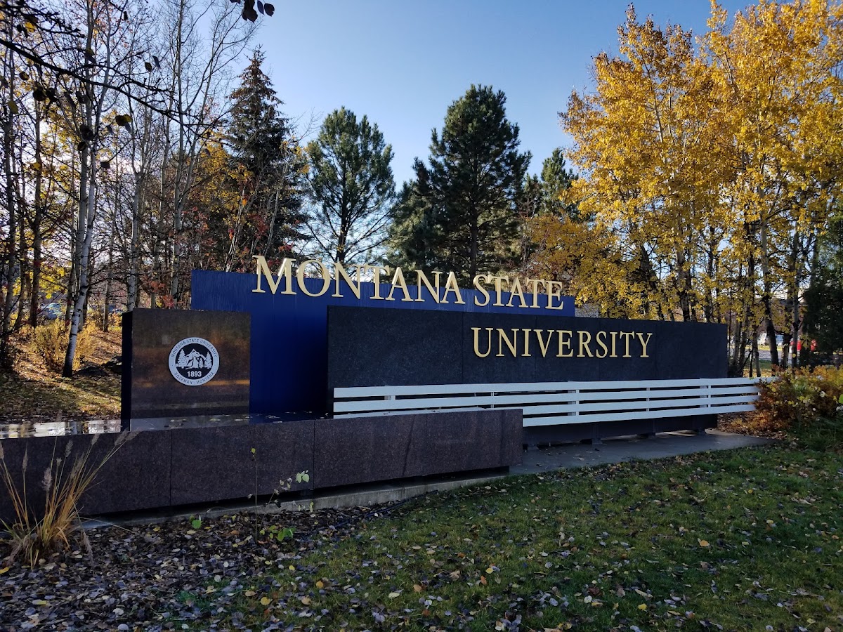 Montana State photo 7