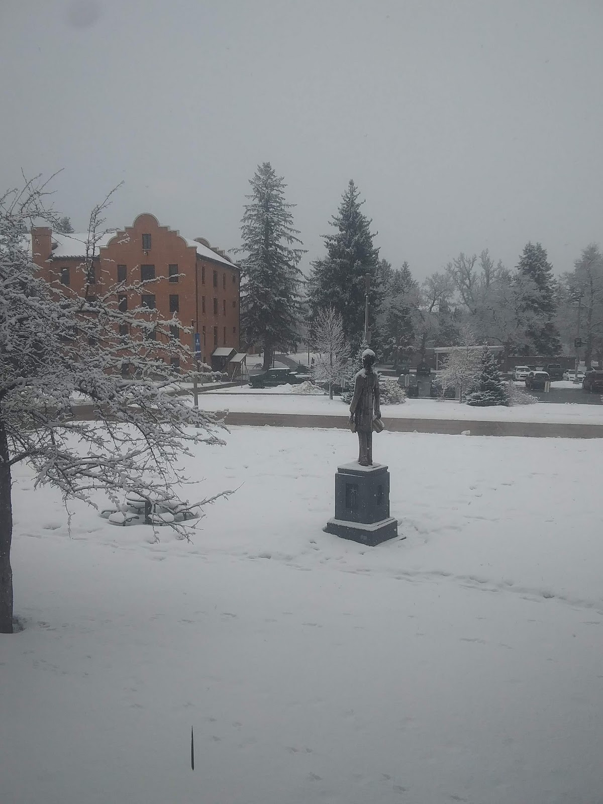 Montana State photo 9