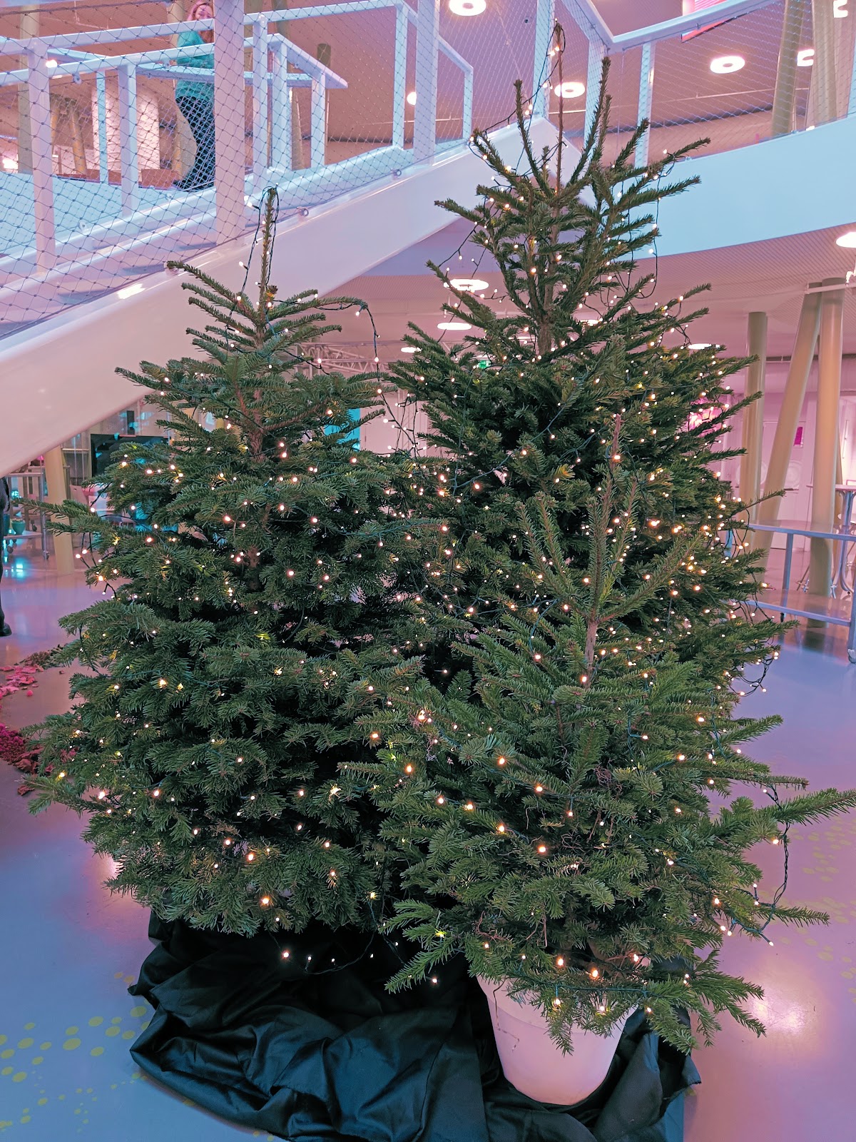 Stoas Vilentum University of Applied Sciences photo 7