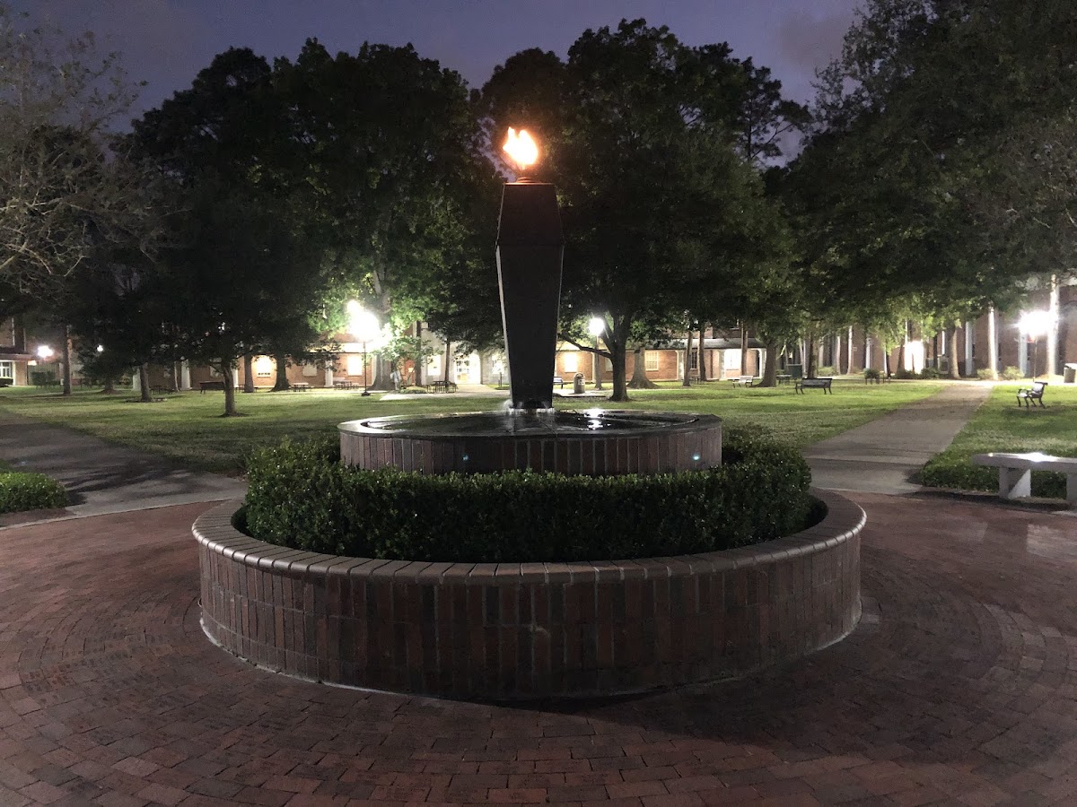 Nicholls State University photo 7