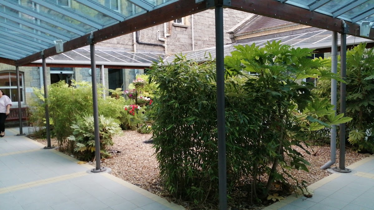 Marino Institute of Education photo 2