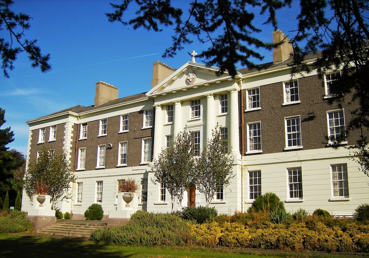 Marino Institute of Education photo 6