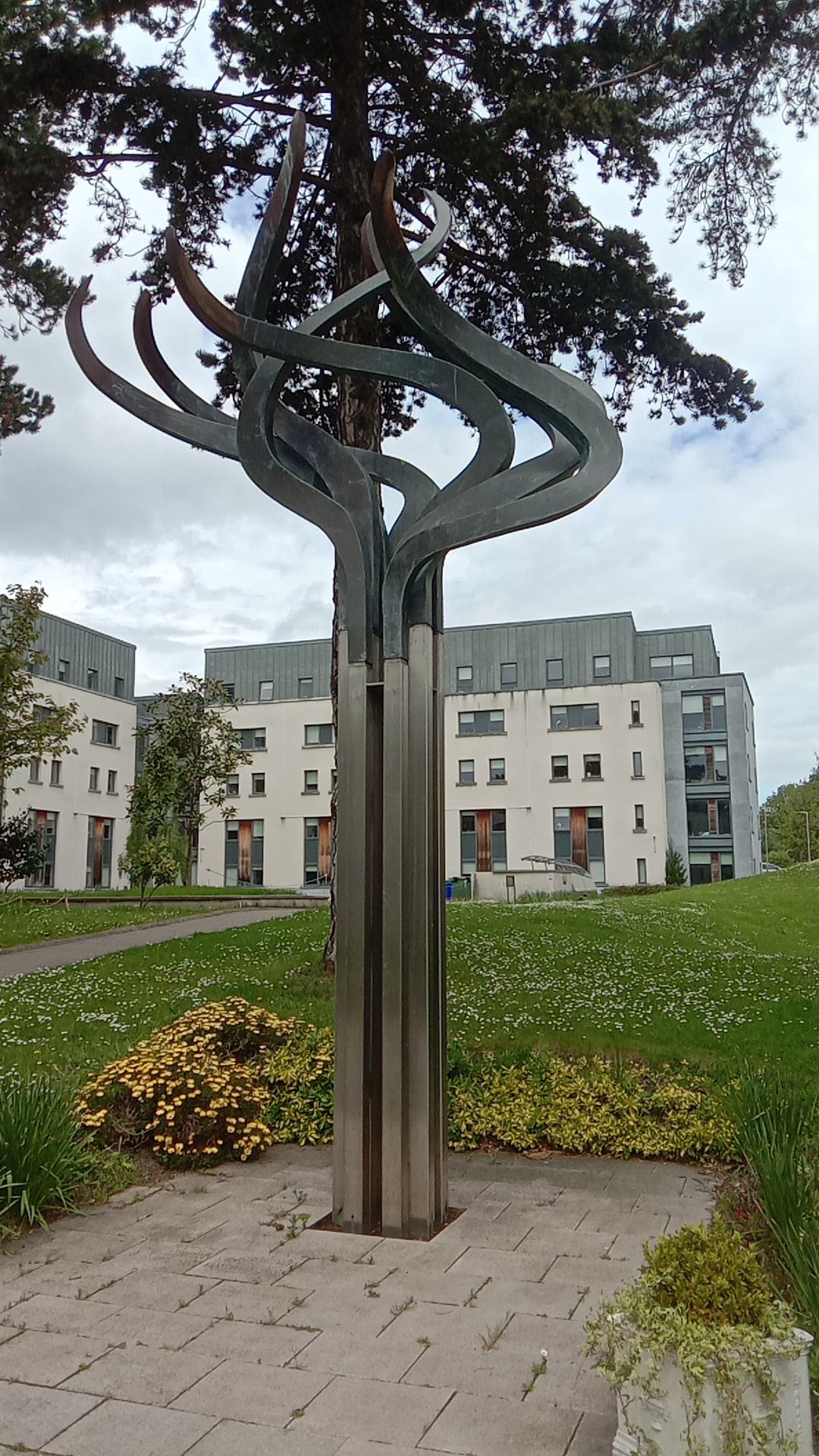 Marino Institute of Education photo 9