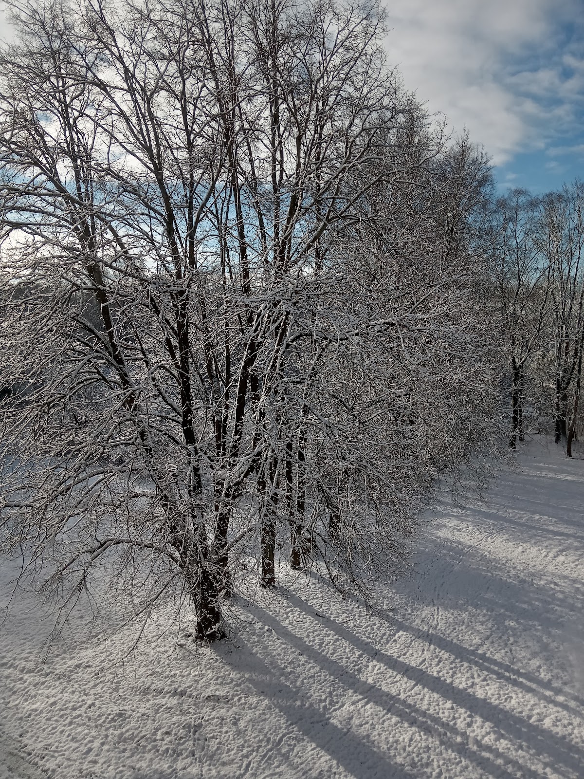 Klaipėda State University of Applied Sciences photo 7