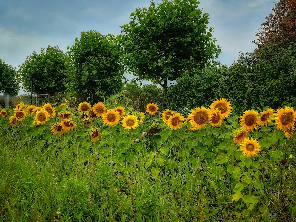 Kold College photo 3