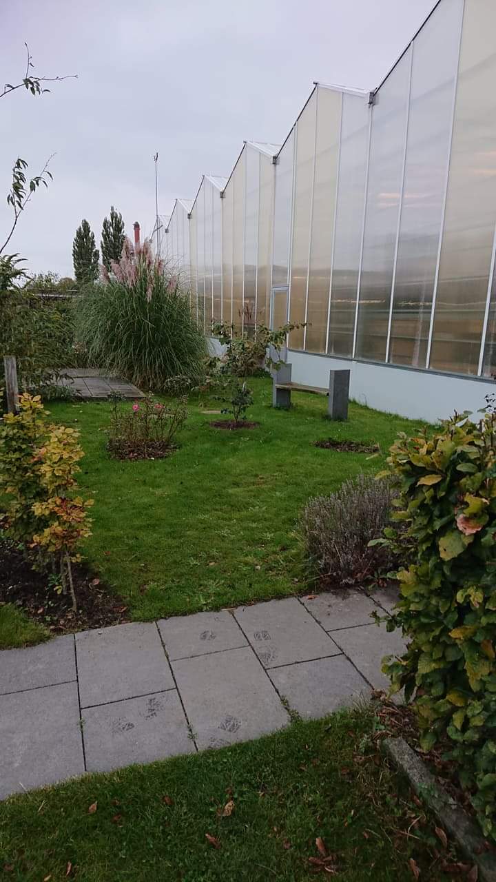 Kold College photo 9