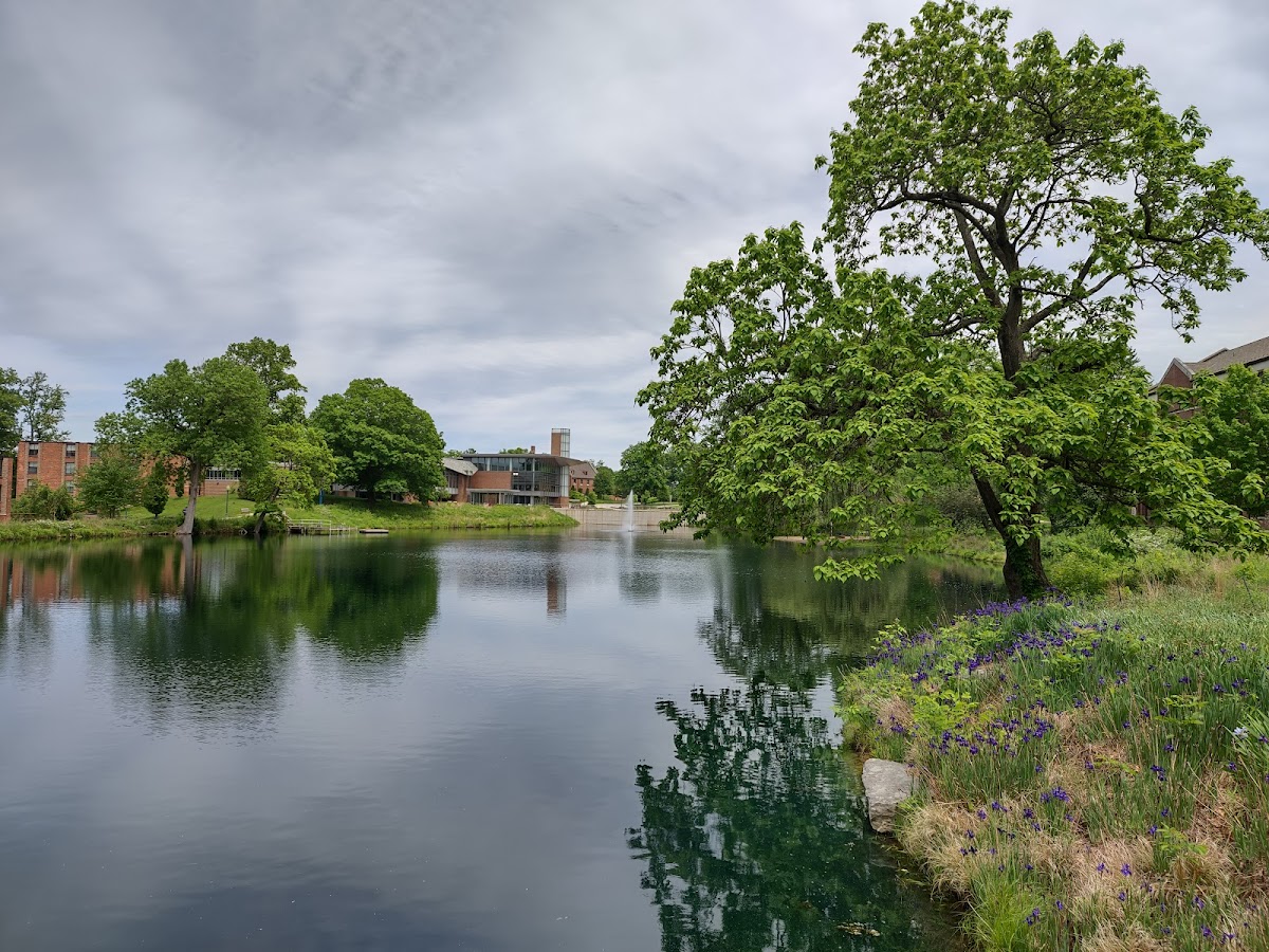 Rose-Hulman Institute of Technology photo 7