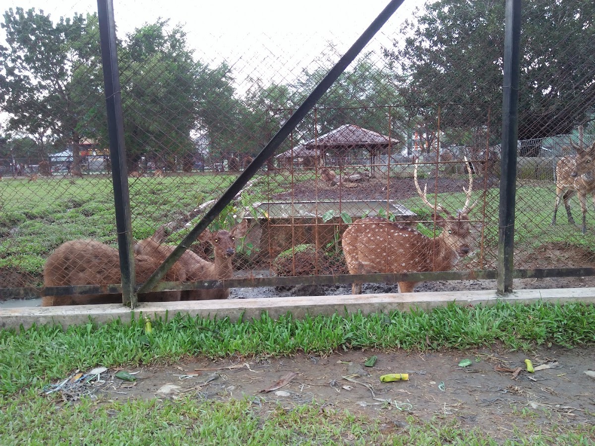 Universitas Sumatera Utara photo 5