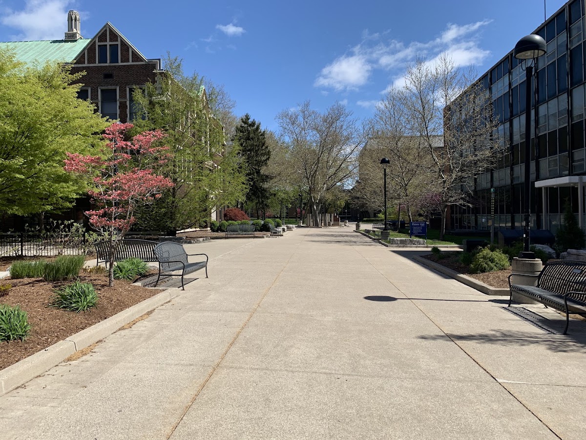 University of Windsor photo 3