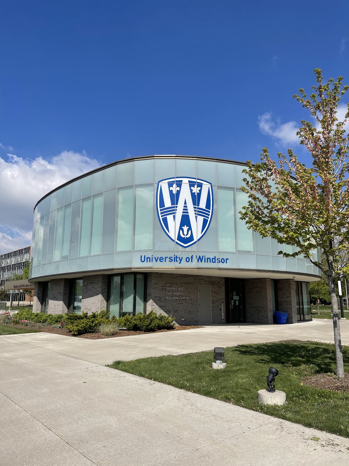 University of Windsor photo 7