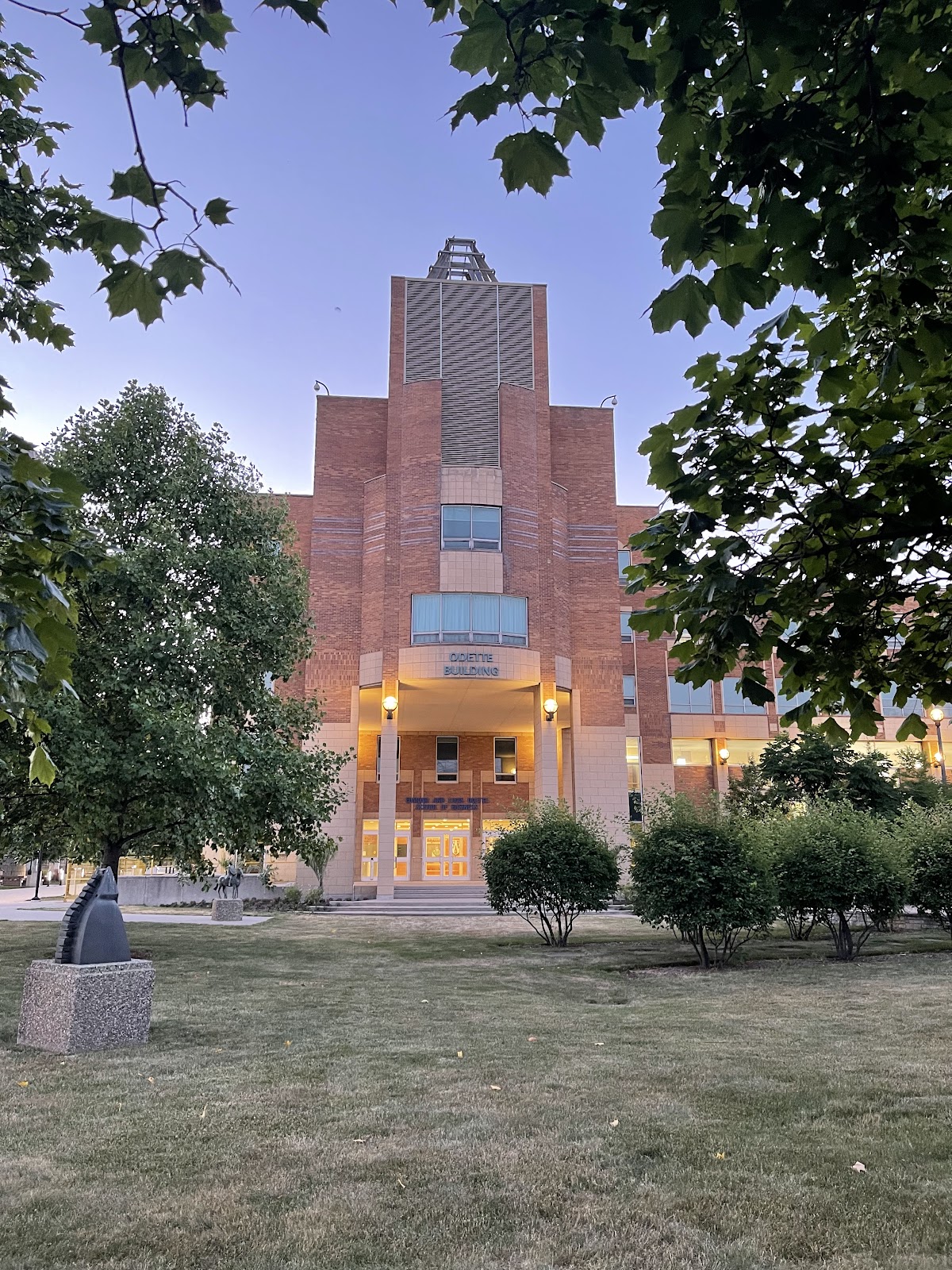 University of Windsor photo 8