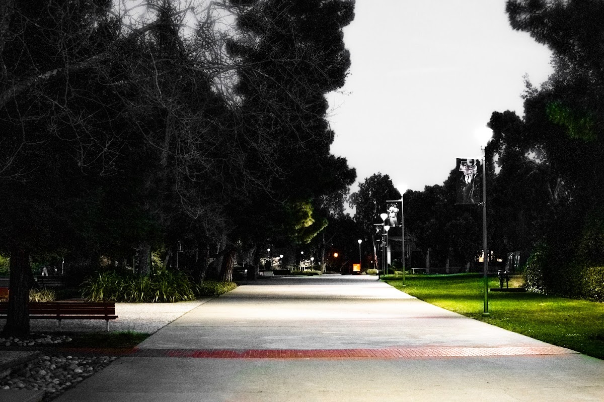 California State University East Bay photo 4