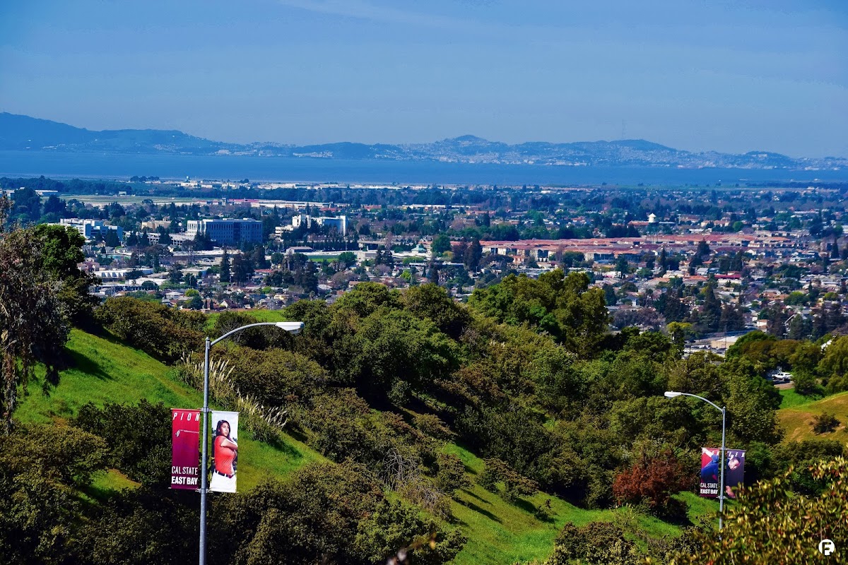 California State University East Bay photo 5