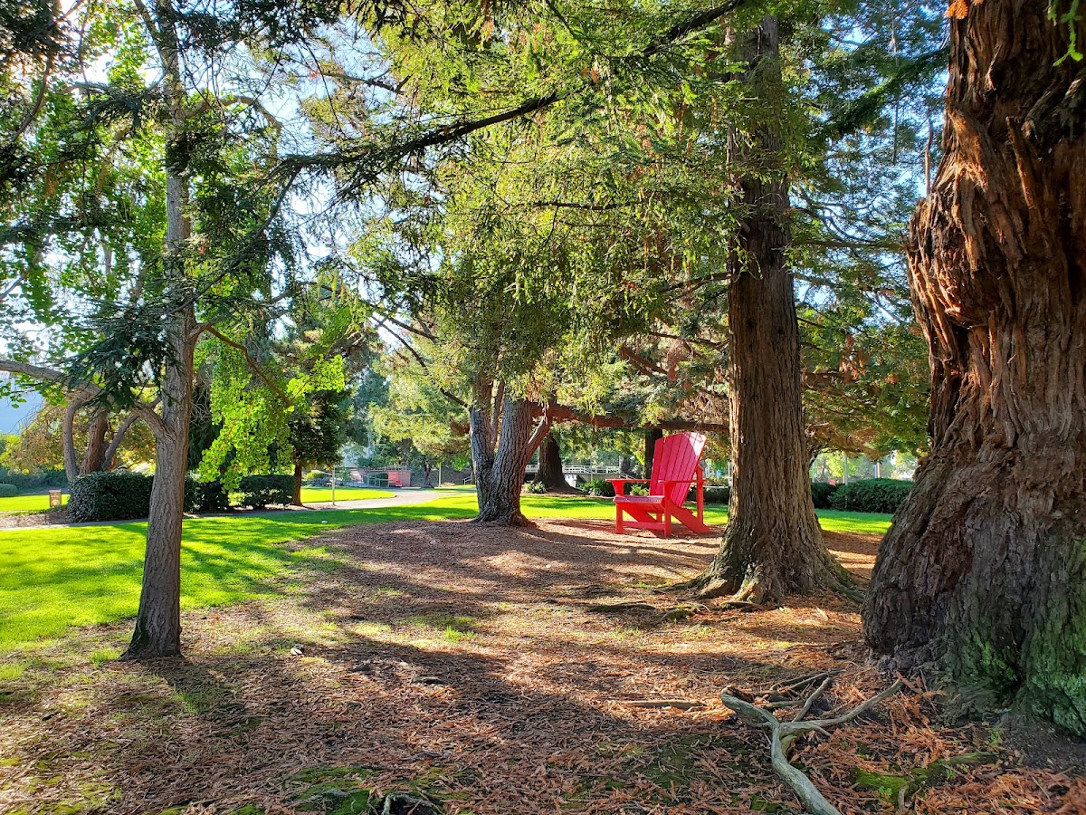 California State University East Bay photo 8
