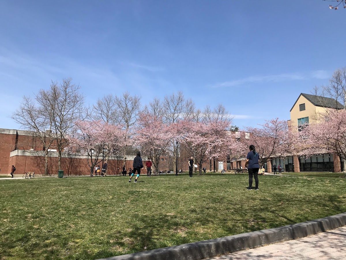 University of the Sciences in Philadelphia photo 3