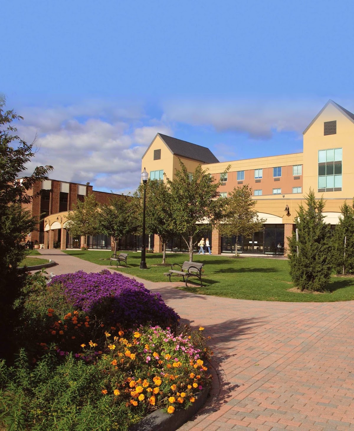 University of the Sciences in Philadelphia photo 9