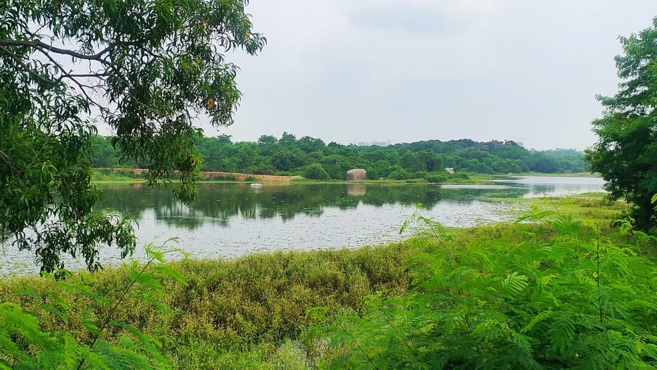 University of Hyderabad