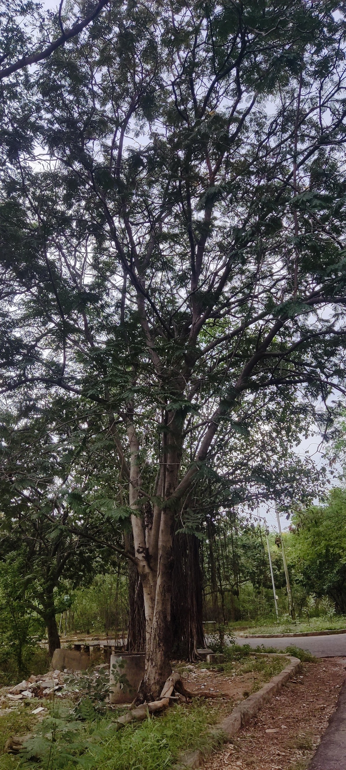 University of Hyderabad photo 9