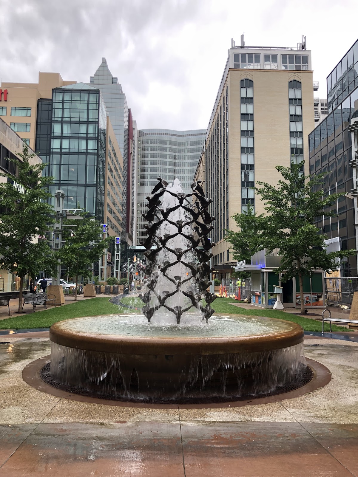 University of Minnesota Rochester photo 8