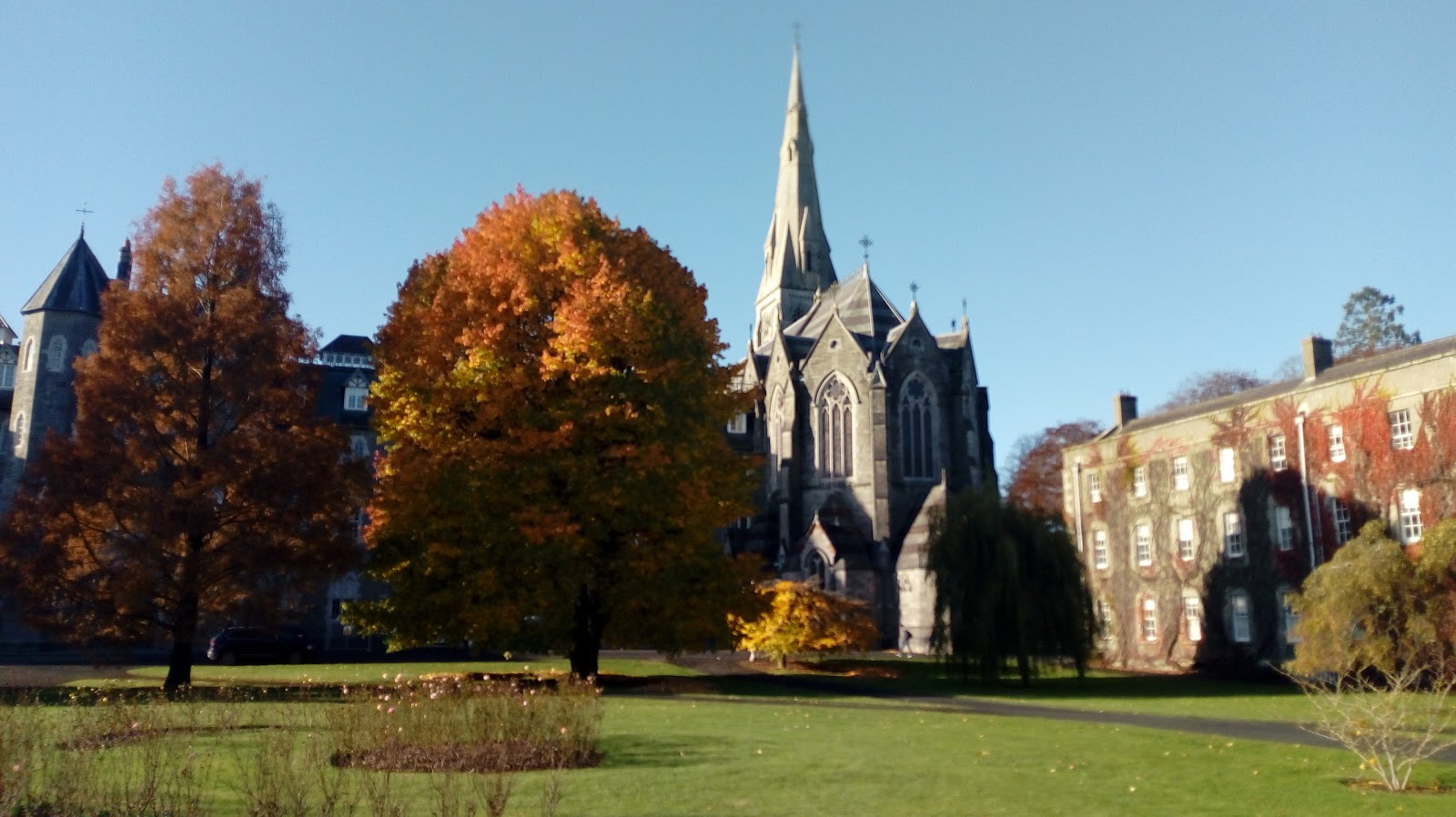 Pontifical University, St Patrick's College