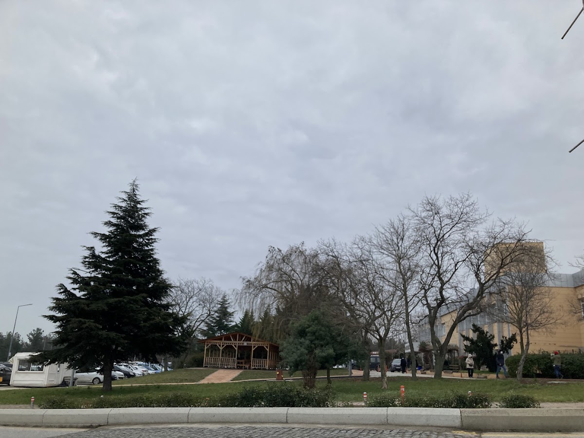 Ondokuz Mayıs University photo 4