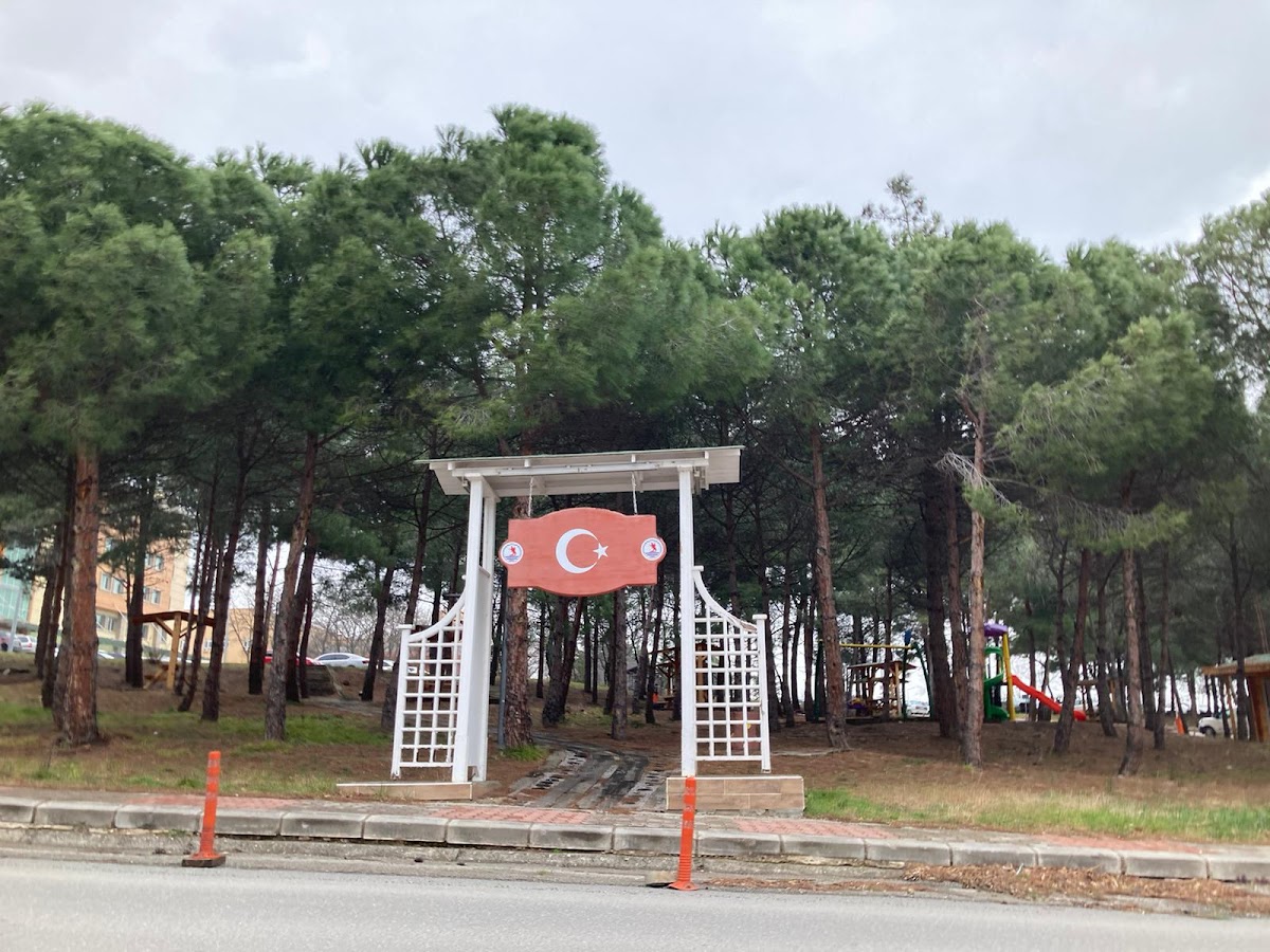 Ondokuz Mayıs University photo 8