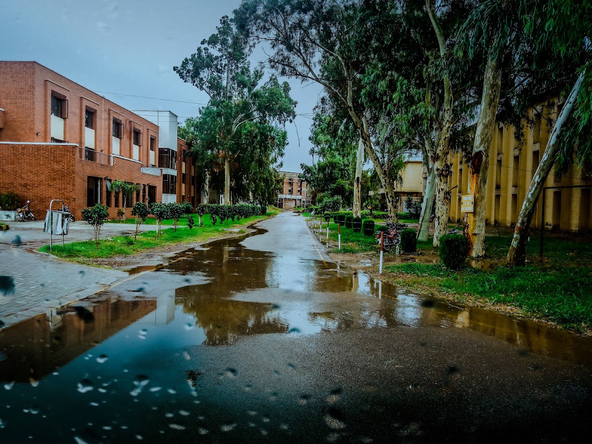University of Engineering and Technology, Taxila photo 6