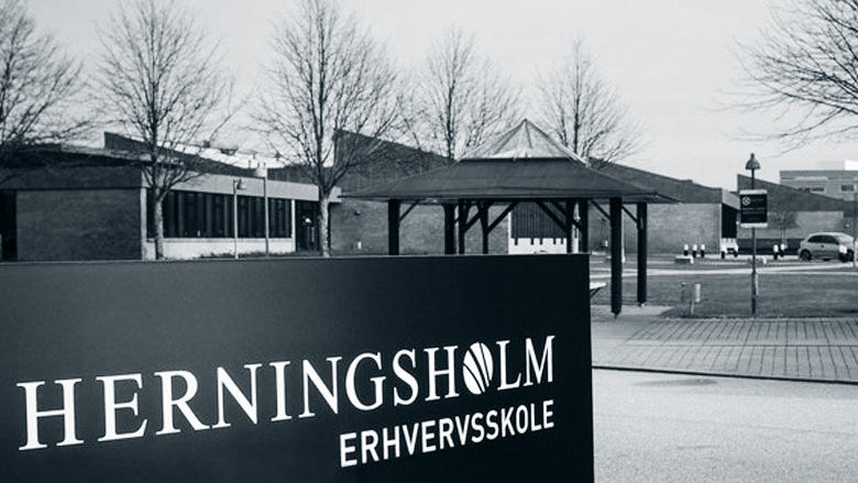 Herningsholm Vocational College photo 1