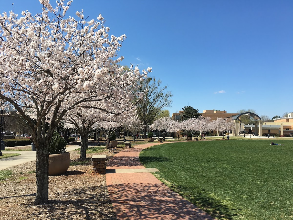 Kennesaw State University photo 7