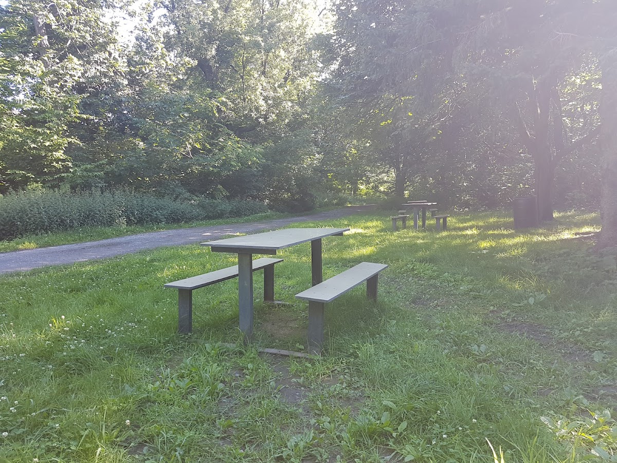 Collège Jean-de-Brébeuf photo 2