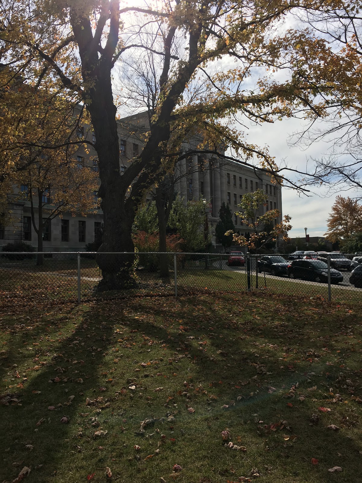 Collège Jean-de-Brébeuf photo 5