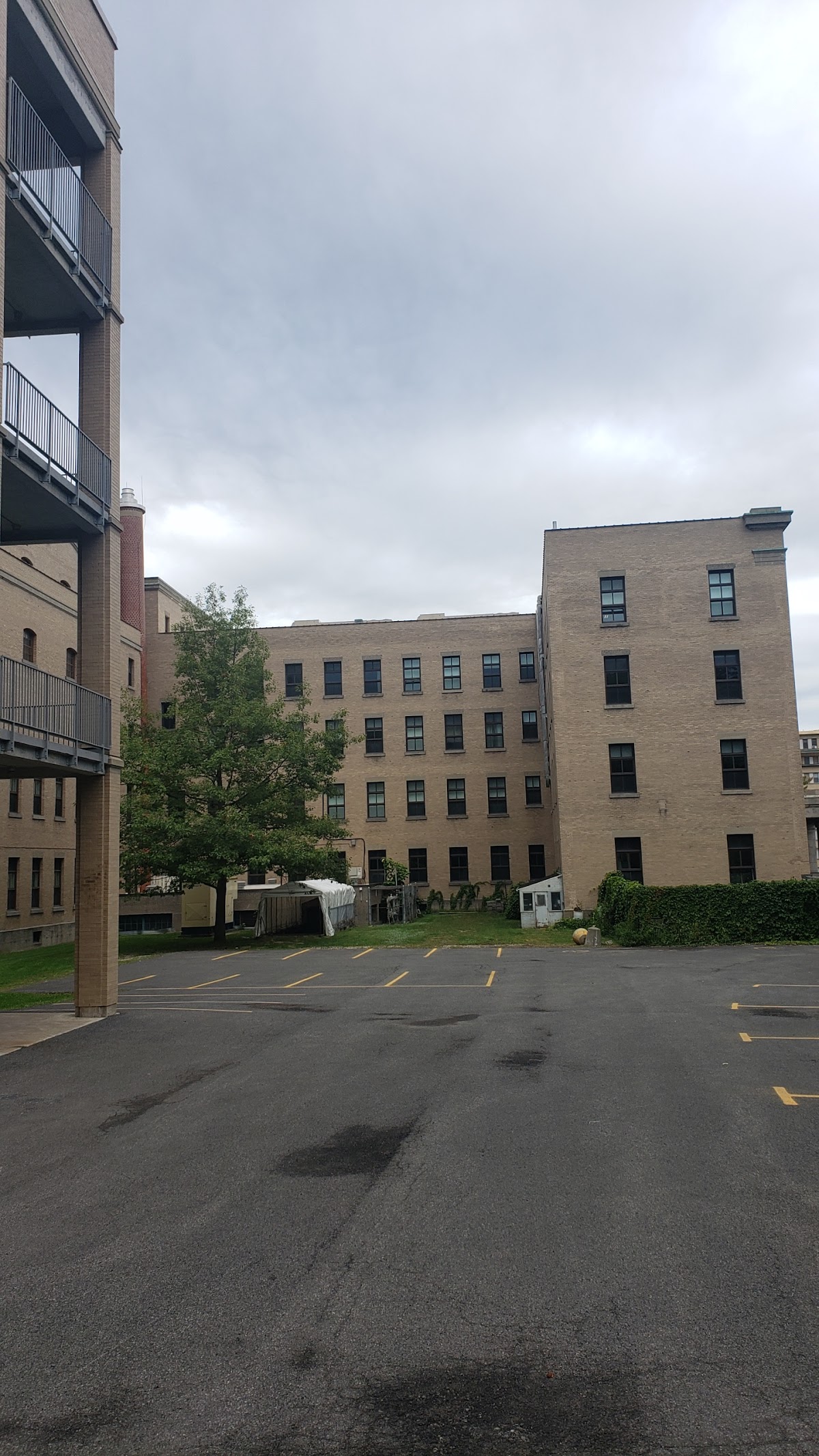 Collège Jean-de-Brébeuf photo 7