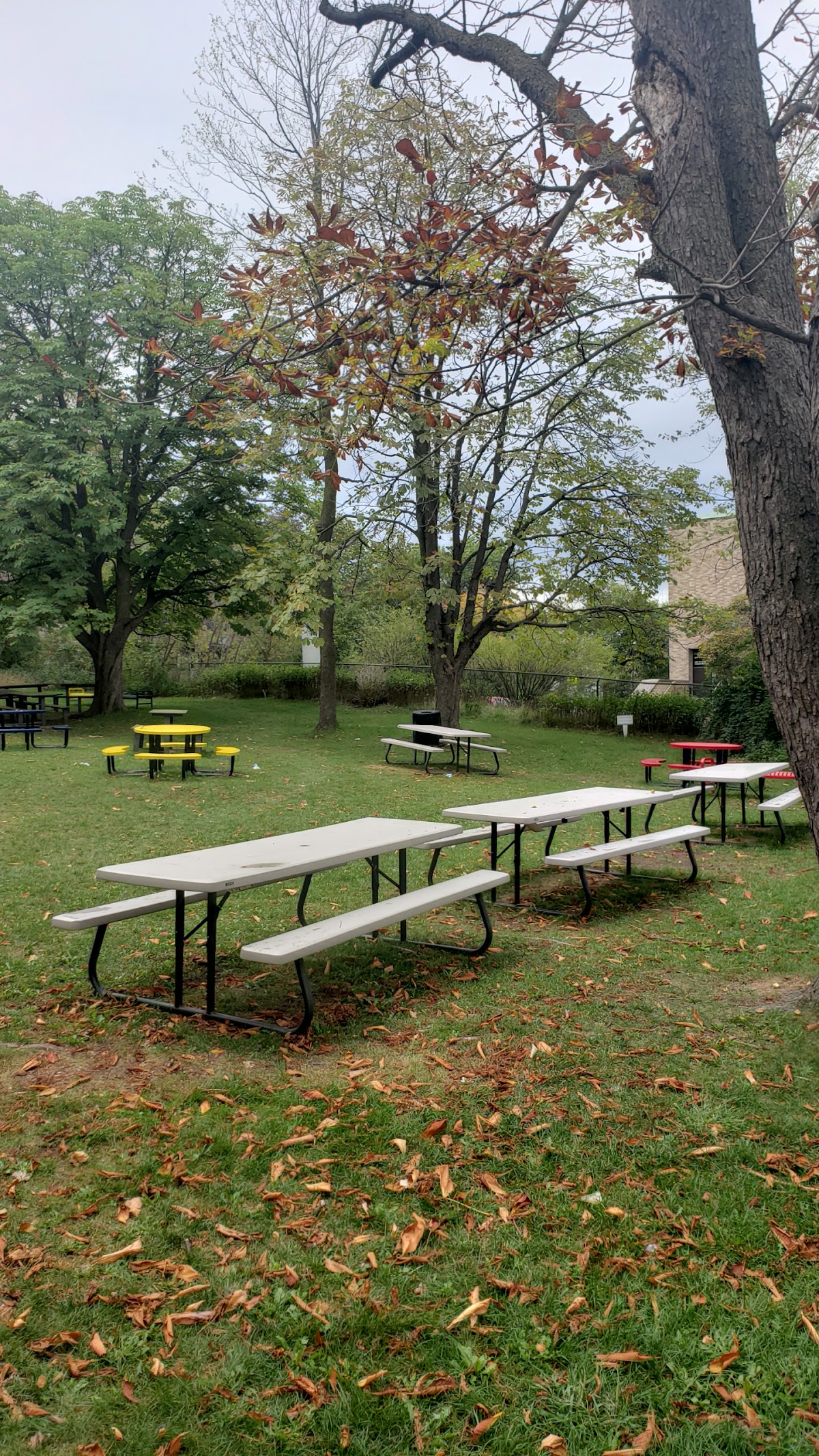 Collège Jean-de-Brébeuf photo 9