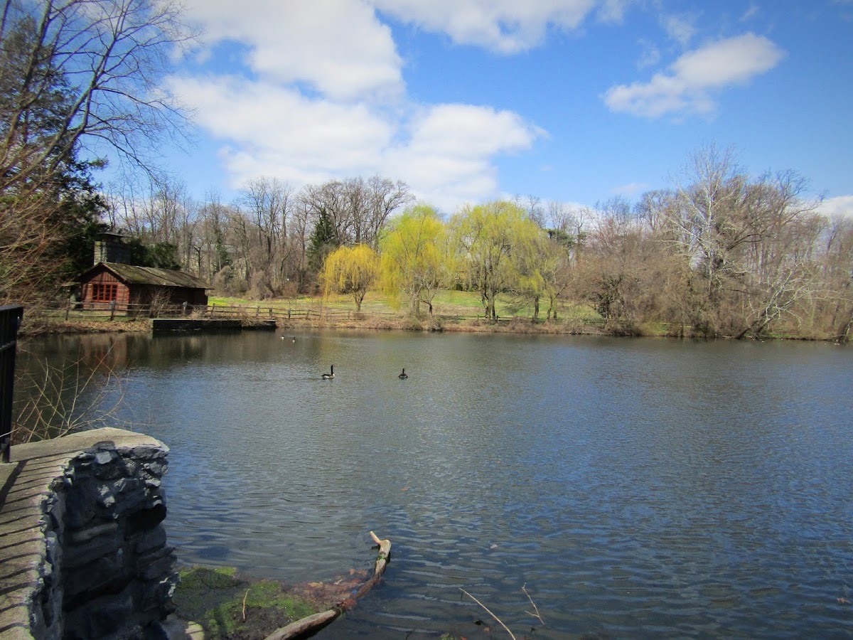 Haverford College photo 3